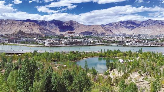 Greening efforts enrich life, ecology in Xizang